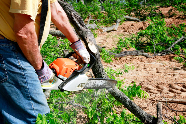 Best Lawn Drainage Solutions  in Santa Clara, OR